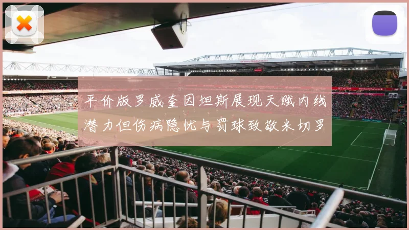 平价版罗威奎因坦斯展现天赋内线潜力但伤病隐忧与罚球致敬米切罗