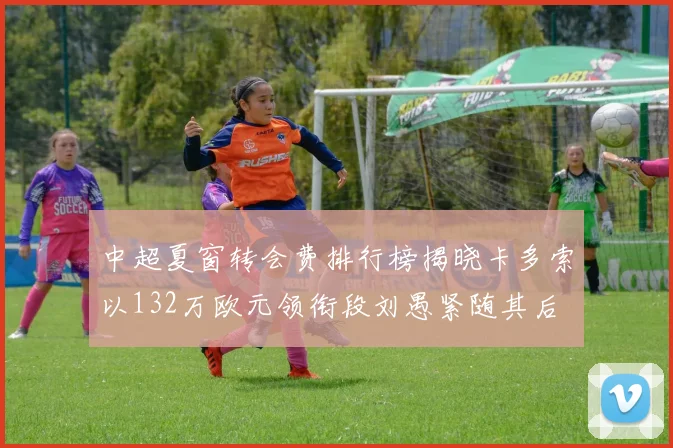 中超夏窗转会费排行榜揭晓卡多索以132万欧元领衔段刘愚紧随其后