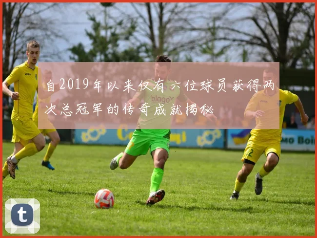 自2019年以来仅有六位球员获得两次总冠军的传奇成就揭秘