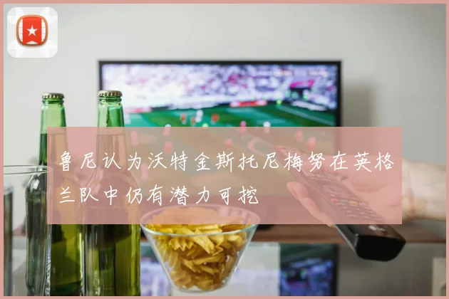 鲁尼认为沃特金斯托尼梅努在英格兰队中仍有潜力可挖